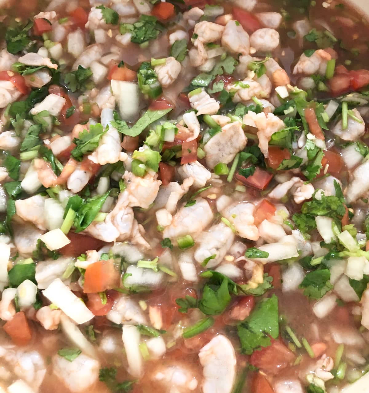 Shrimp Ceviche